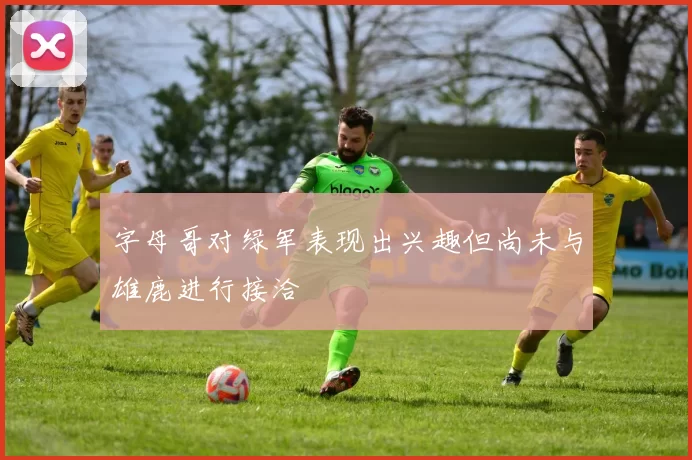 字母哥对绿军表现出兴趣但尚未与雄鹿进行接洽